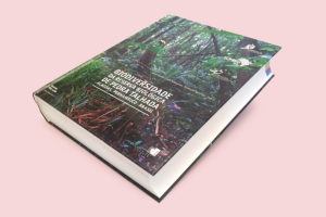 Livre Pedra Talhada cover
