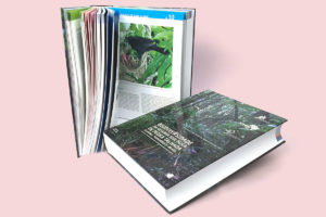 Livres Pedra Talhada