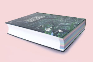 Livre Pedra Talhada couleur