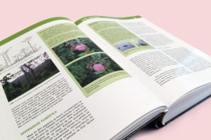 Livre Pedra Talhada page